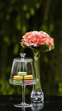 Buying a bouquet of flowers to please oneself 81