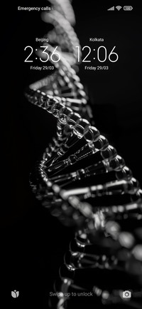 Chain of life