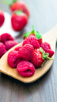 Fruit (3)