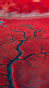 Red beach