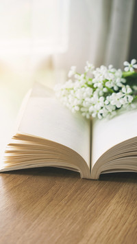 Close up of open book with flower in the morning