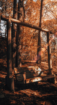 Travel B2 (4)