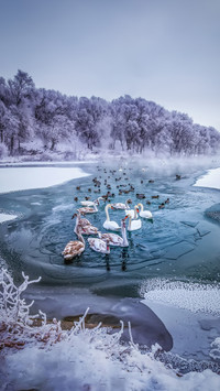 There are skills in learning photography 73