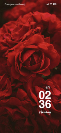 Red Roses