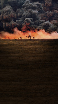 Camel