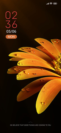 Morning dew