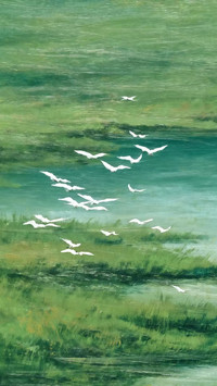 青空飞鸟集