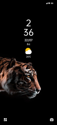 TIGER Y