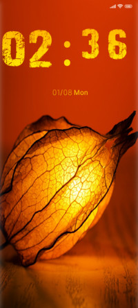 lamp exotic