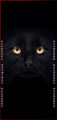 黑猫睁眼签名定制款
