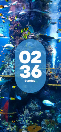 Aquarium