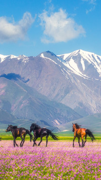 Recommended tourist destinations for may