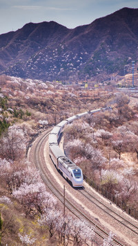What is the difference between highspeed rail and bullet tra