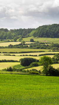 North York Moors Dale Farm