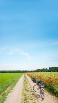 Good scenery in spring-01