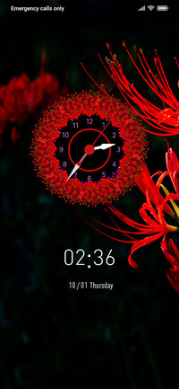 Flower Fx_DWM20