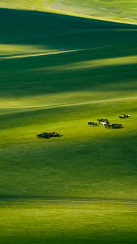 Hulunbuir Light and Shadow Grassland