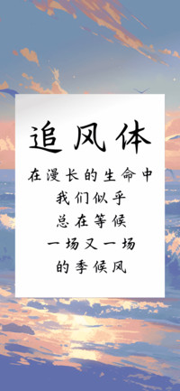 追风体