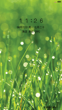 【雨滴、气泡动态】晨露