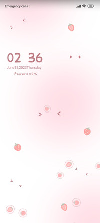 Rabbit Bear Diary