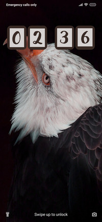 Eagle Eye_3MDS