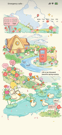Summer duck team