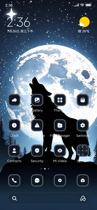 Wolf Night