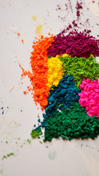 India-Holi (29)