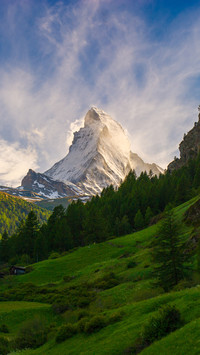 4 to Switzerland bef