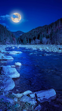 Blue moonlight-01