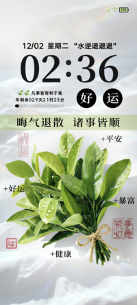柚子叶 晦气退散