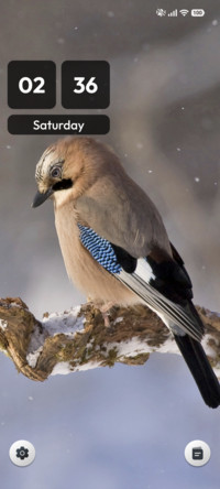 Snowy Sentinel