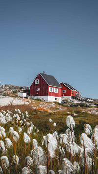 Polar scenery