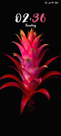 Pineapple