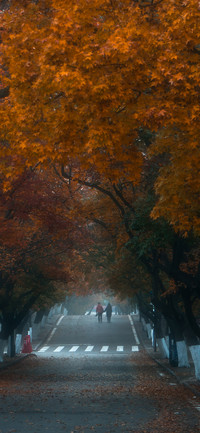 秋日风景壁纸-锐景创意