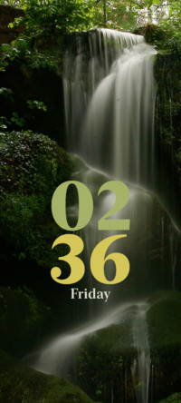 Forest Waterfall