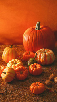 Nutritious and Delicious Pumpkin 8