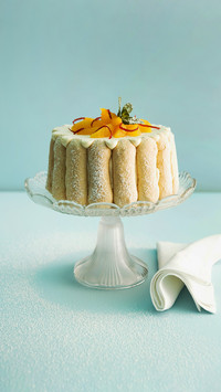 Delicious Yogurt Qifeng Cake 5