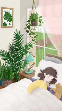 Potted plants for purifying air 34