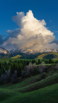 Tangbula Grassland, Ili, Xinjiang