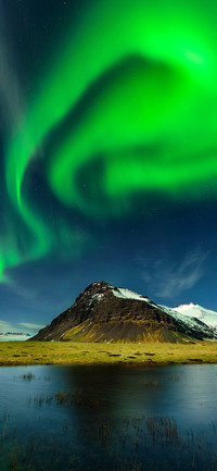 The aurora trip-PAIXIN