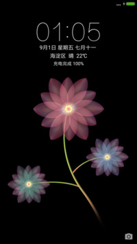 梦里花开