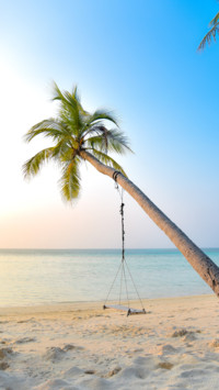 Maldives (15)