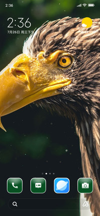 Wild Eagle