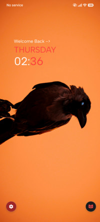 Sunset Crow
