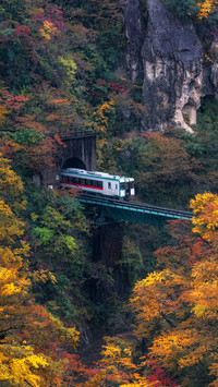 Train Passing Through The Tunnel