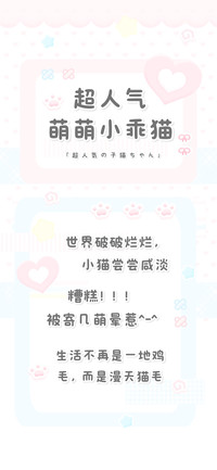 超人气萌萌小乖猫