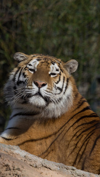 112525_1440x2560.jpg
