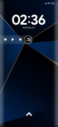 Luxury_16