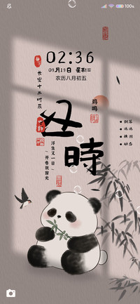 十二时辰 水墨熊猫